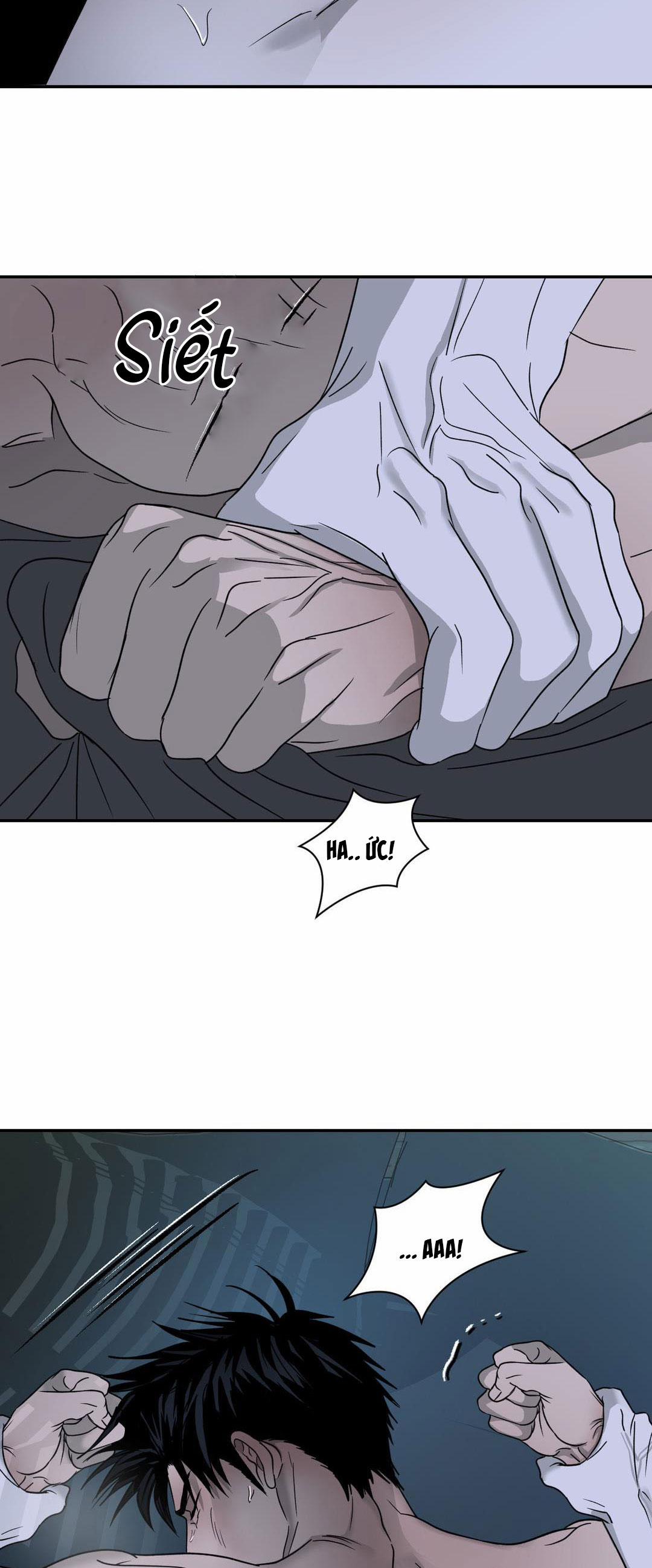 Shutline 19.2 trang 11