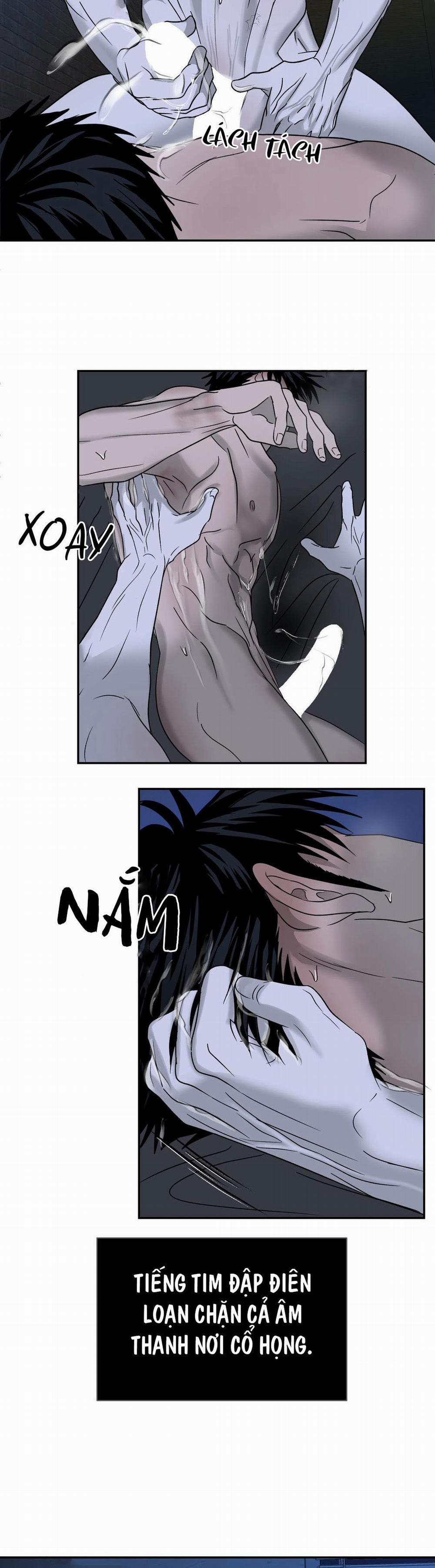 Shutline 19 trang 19