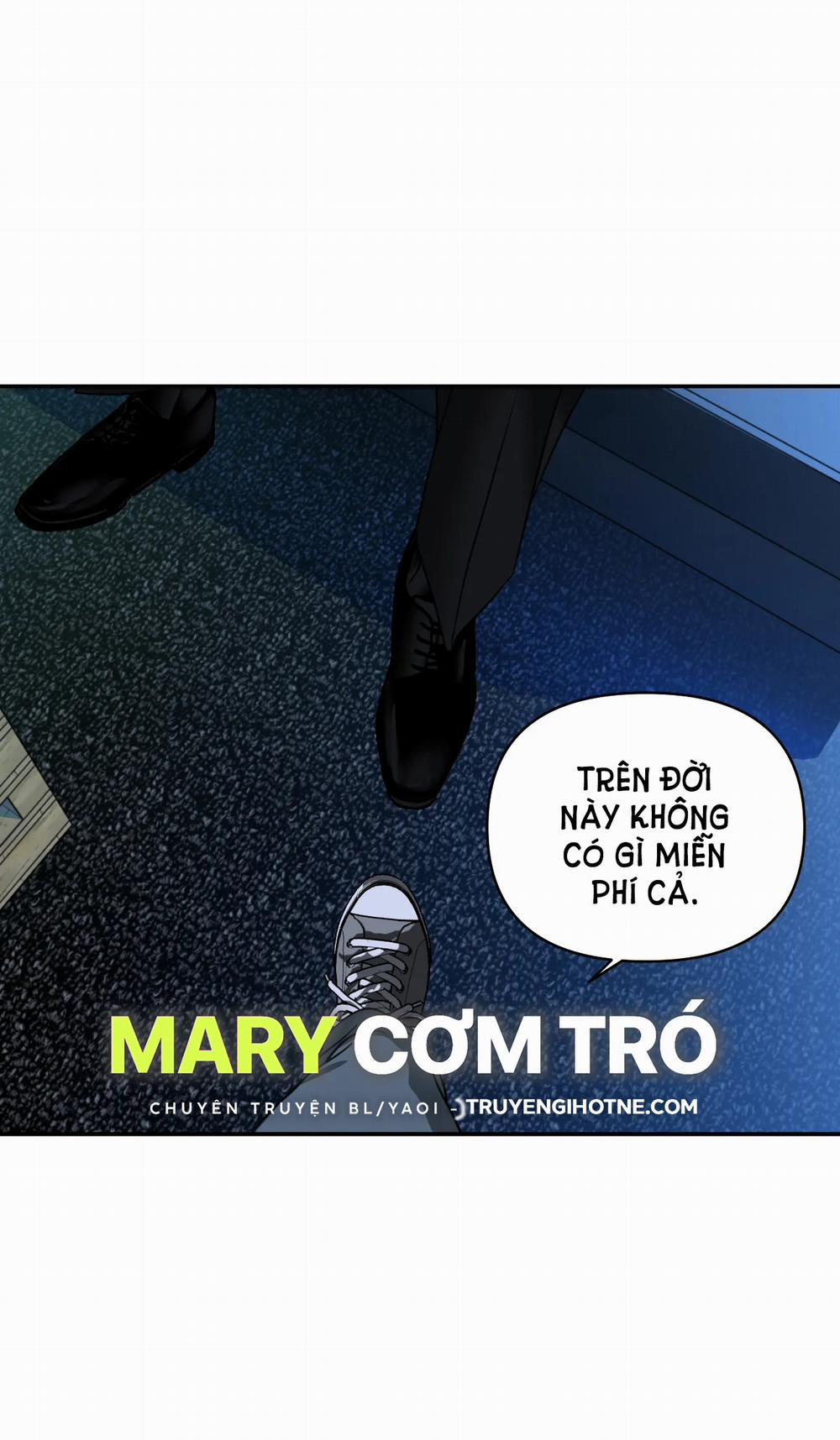 Shutline 61.2 trang 11