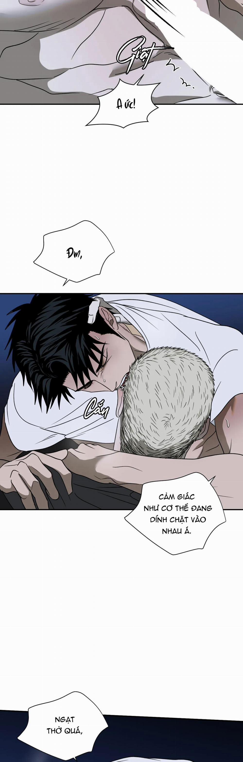 Shutline 64 H+ trang 17