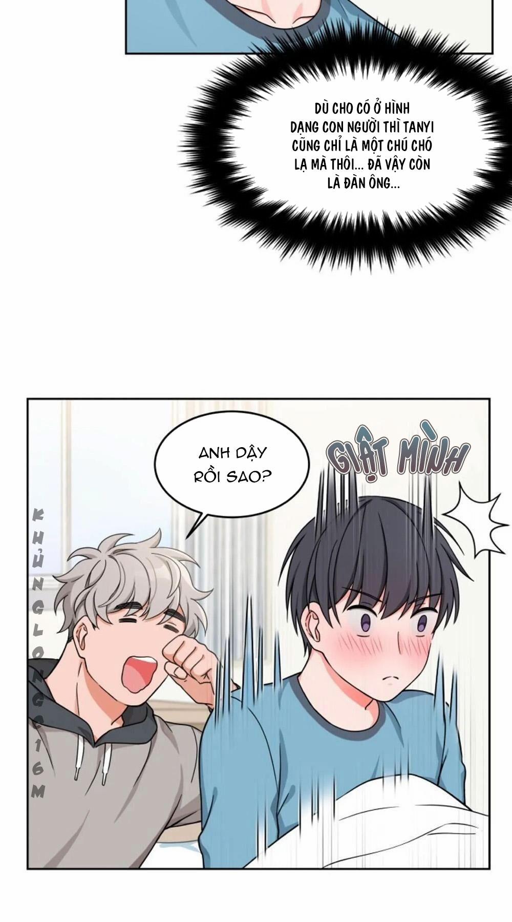 Sit, Wait, Kiss Me 11 trang 12