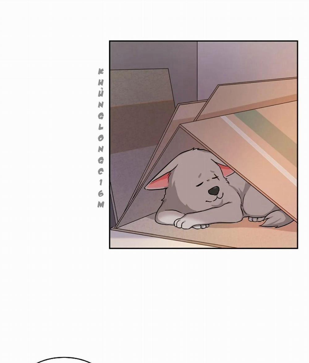 Sit, Wait, Kiss Me 17 trang 52