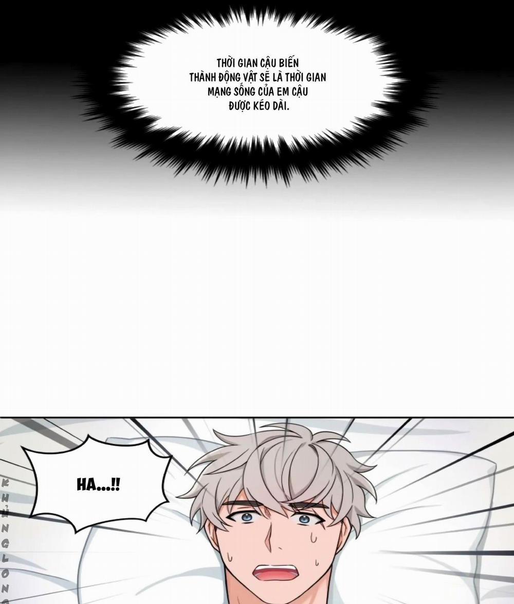 Sit, Wait, Kiss Me 18 trang 3