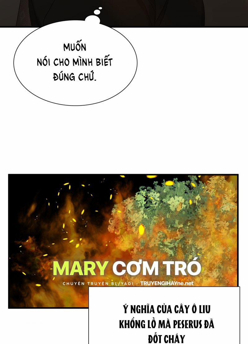 Smirna And Capri 26.5 trang 6