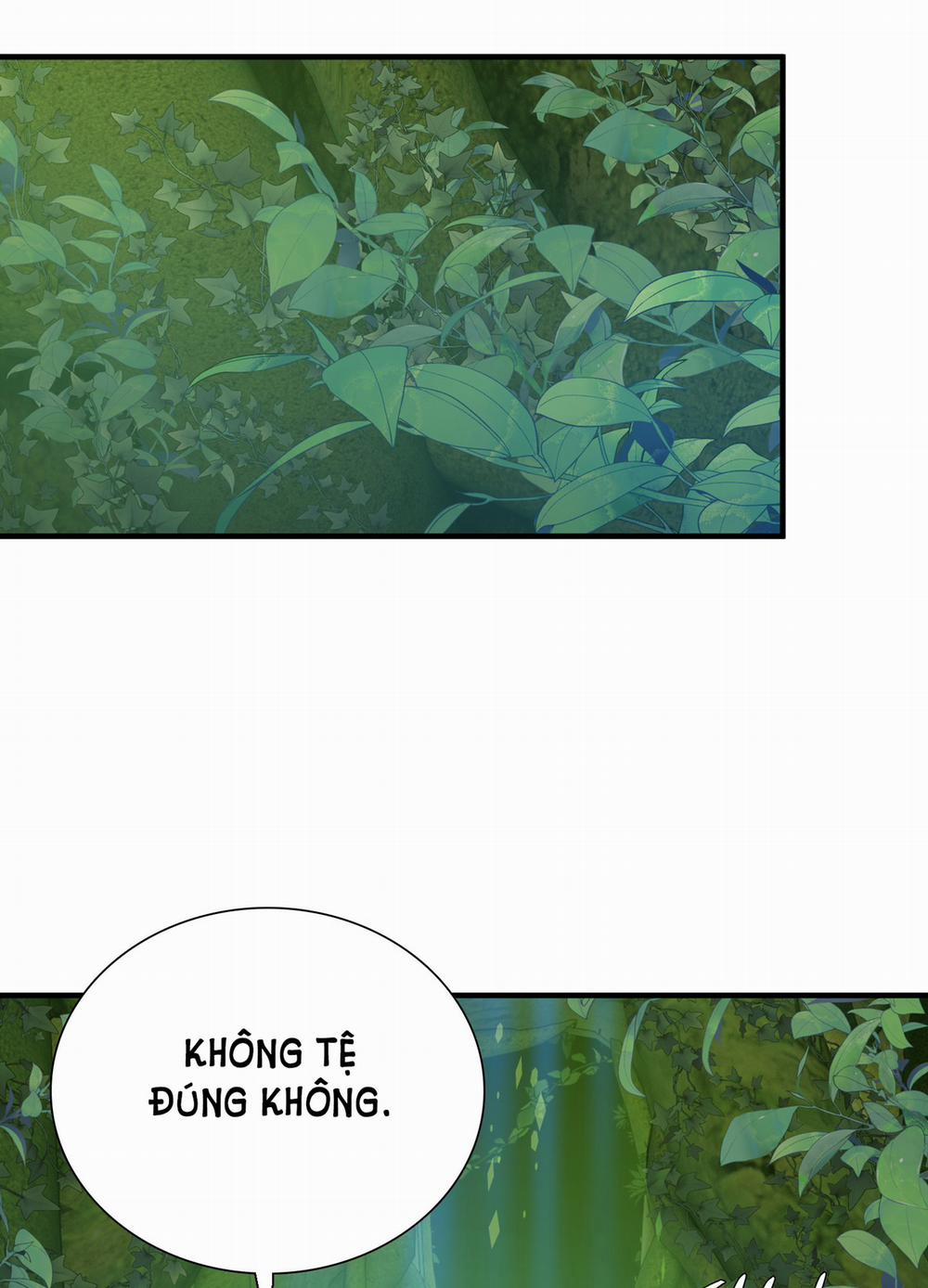 Smirna And Capri 31.5 trang 36