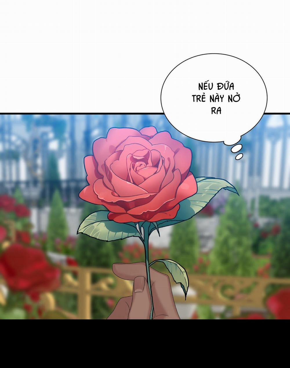 Smirna And Capri 42 trang 16