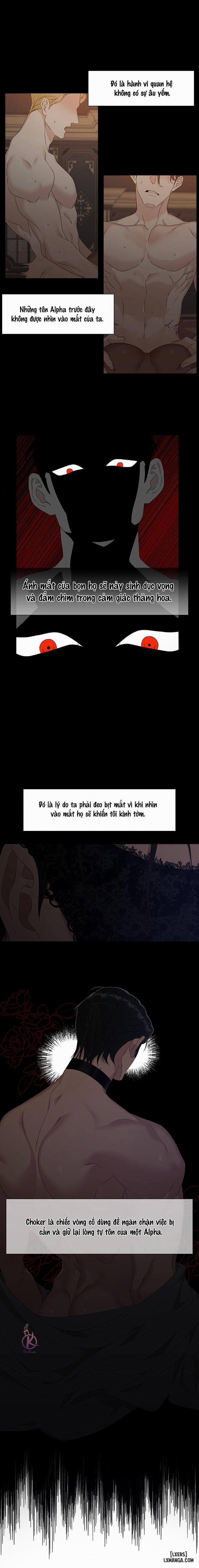 SMYRNA VÀ CAPRI 15 trang 8