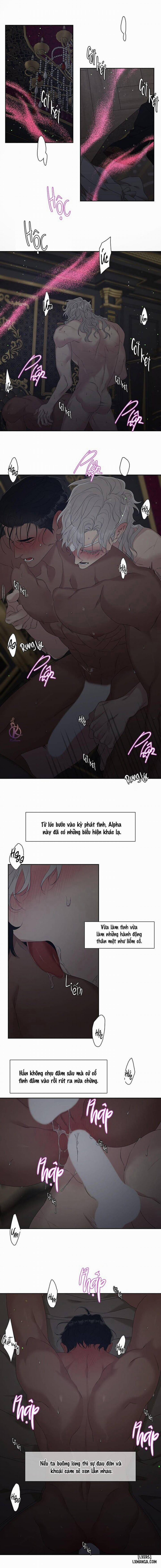 SMYRNA VÀ CAPRI 15 trang 9