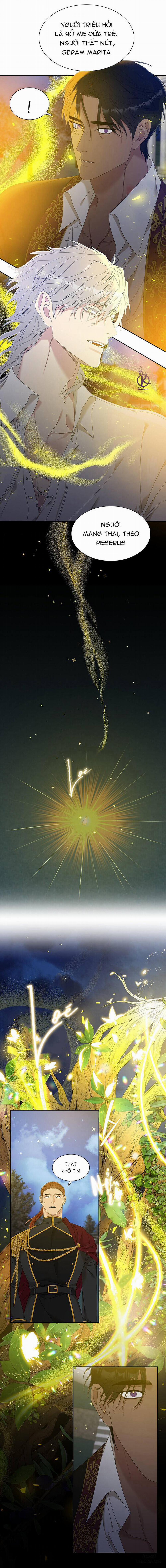 SMYRNA VÀ CAPRI 16 trang 11