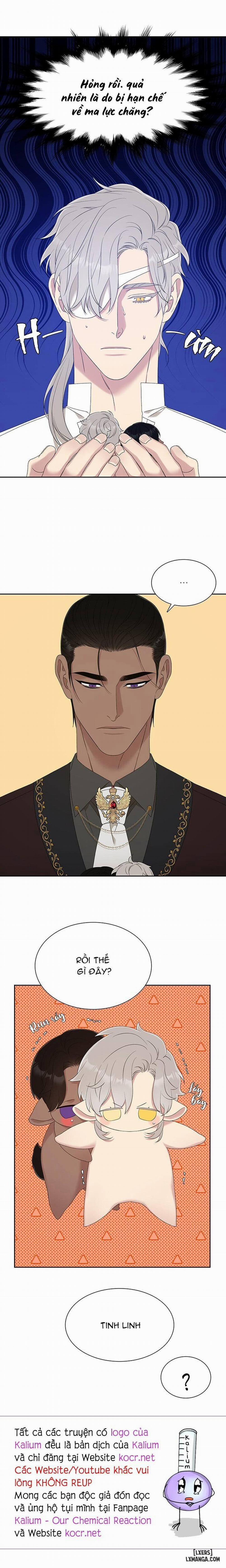 SMYRNA VÀ CAPRI 18 trang 12