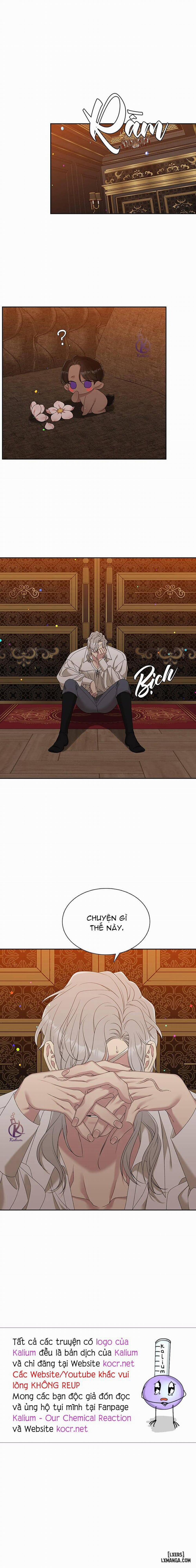 SMYRNA VÀ CAPRI 22 trang 14