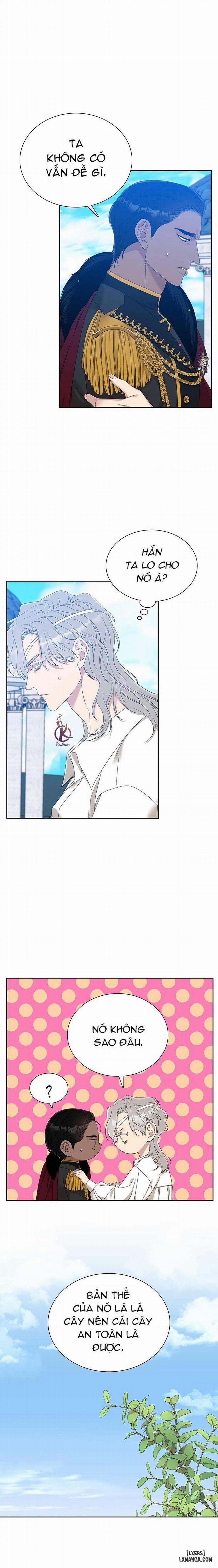 SMYRNA VÀ CAPRI 22 trang 8