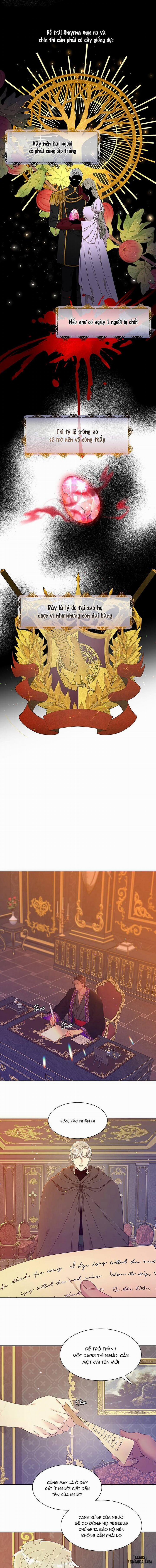 SMYRNA VÀ CAPRI 3 trang 6