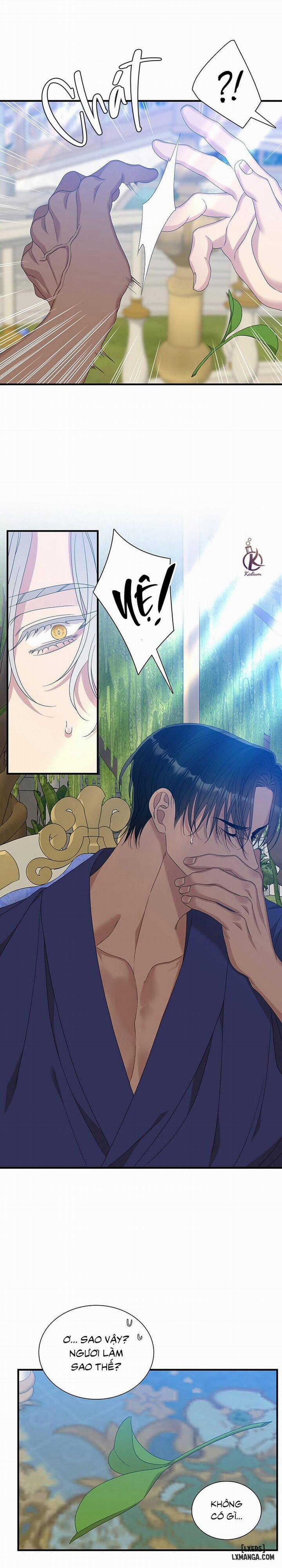 SMYRNA VÀ CAPRI 54 trang 4