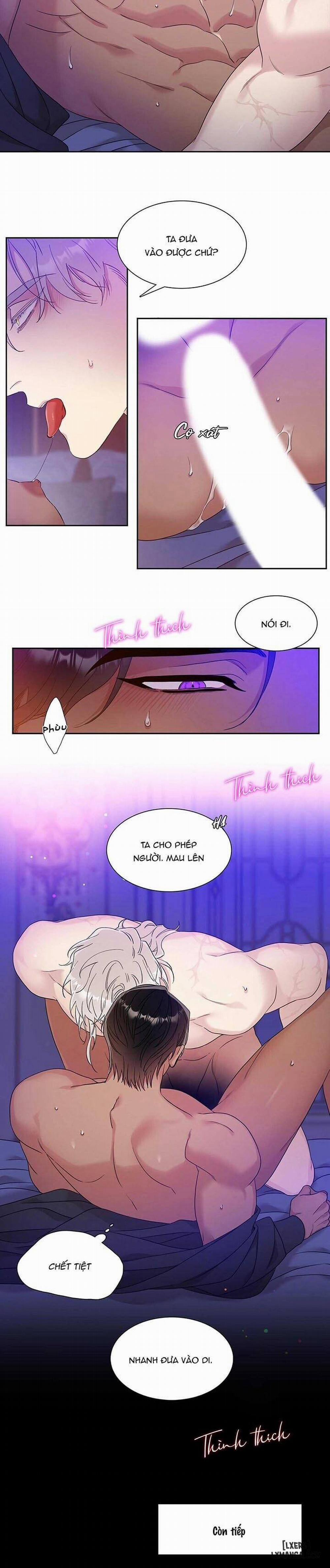 SMYRNA VÀ CAPRI 6 trang 17