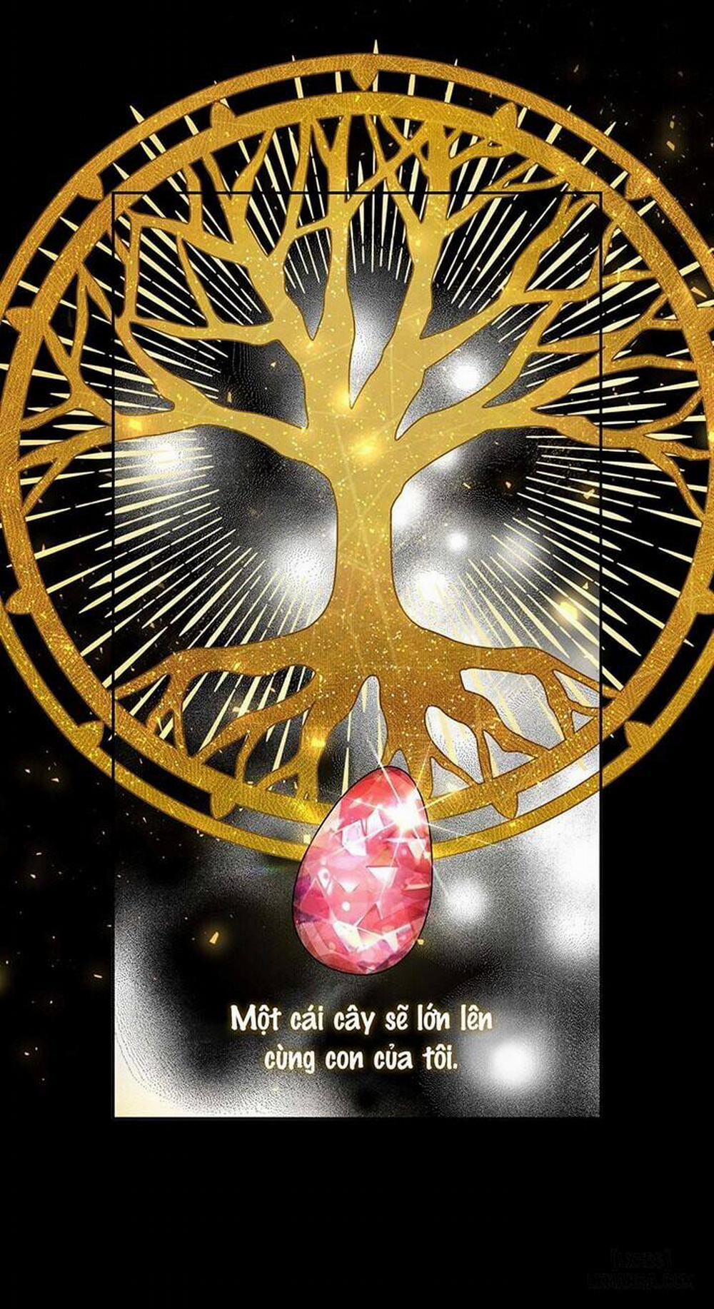 SMYRNA VÀ CAPRI 7 trang 13