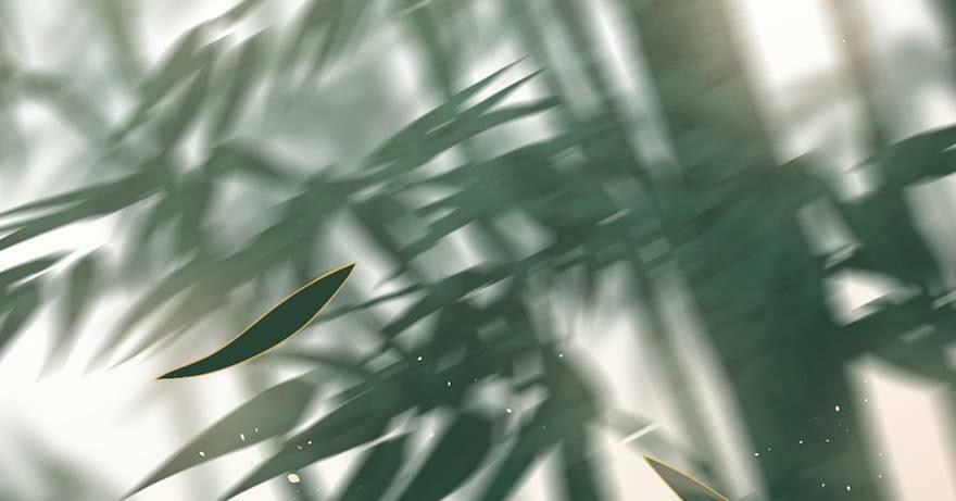 Sở Cung Tứ Thời Ca 2 trang 100