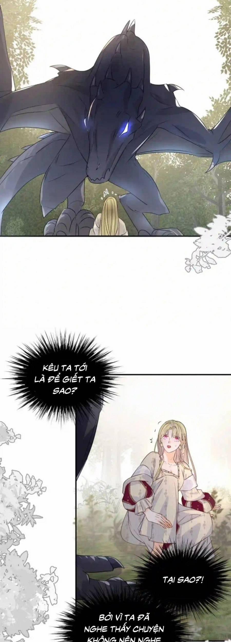 Sổ Tay Nuôi Dưỡng Rồng 16 trang 31