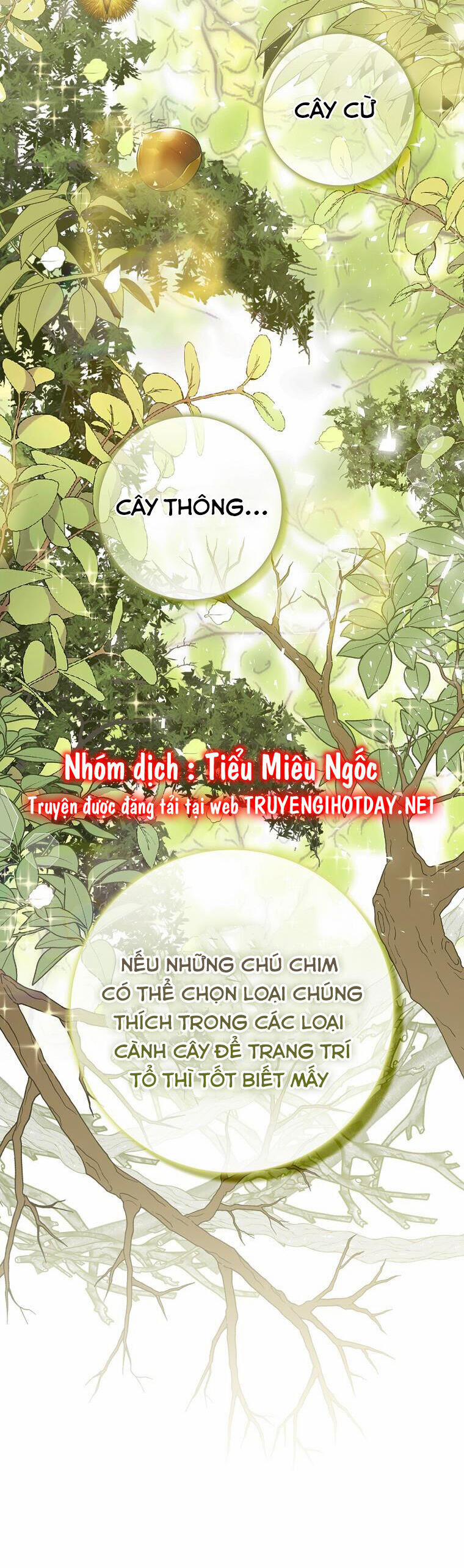 Sóc Nhỏ Tài Năng Chương 51 Trang 17