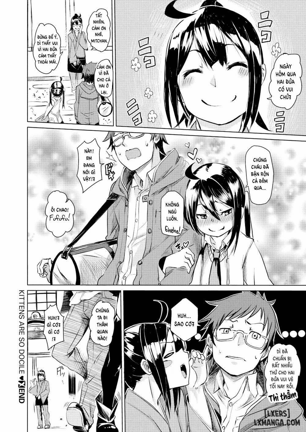 Soft and Wet 8 0 Kittens Are So Docile 0 trang 21