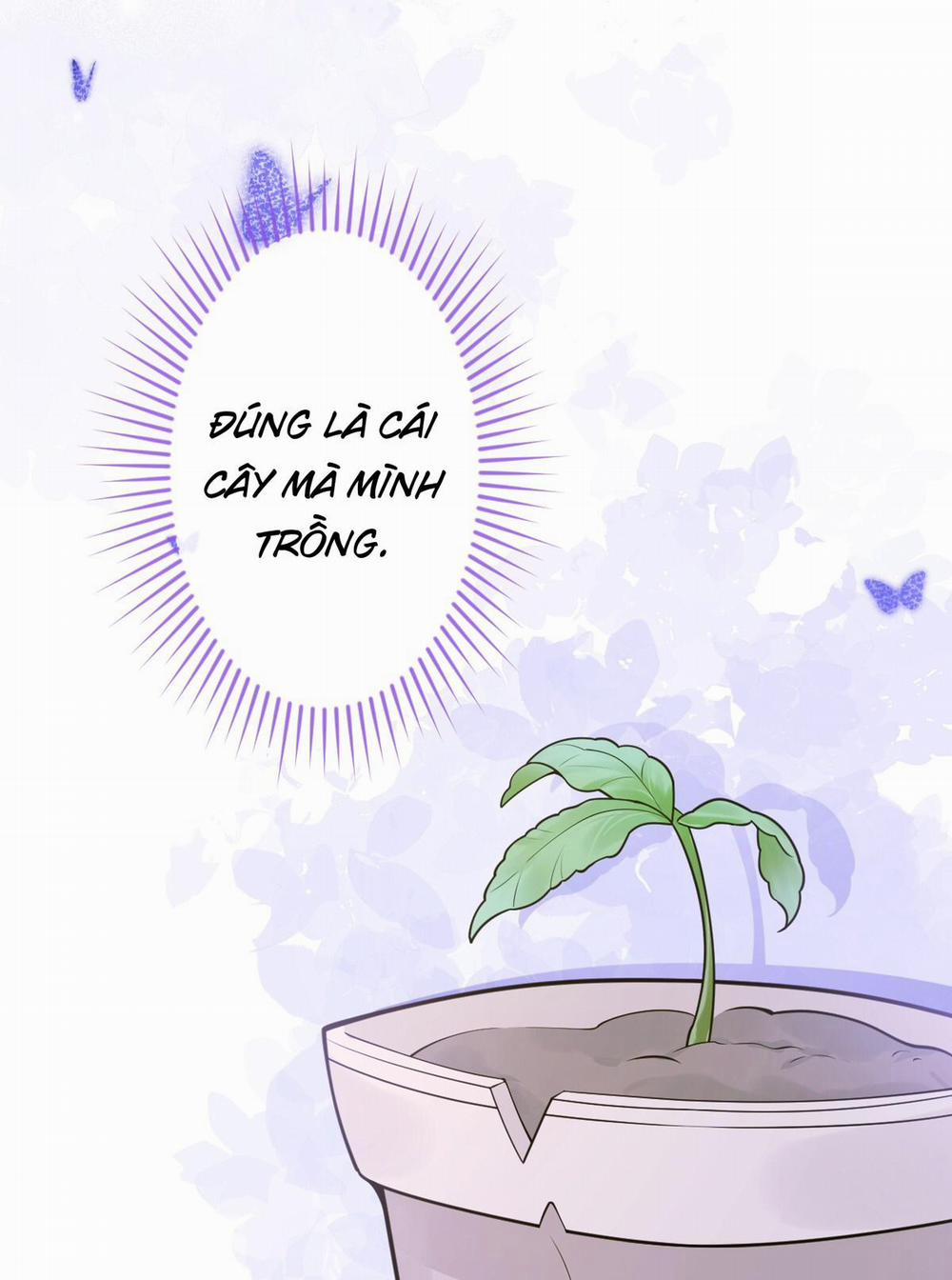 Sói Báo Ơn 12 trang 13