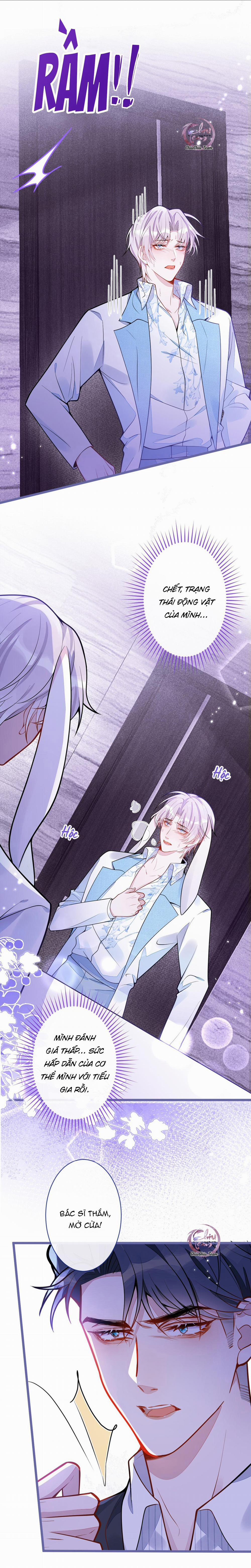 Sói Báo Ơn 14 trang 9