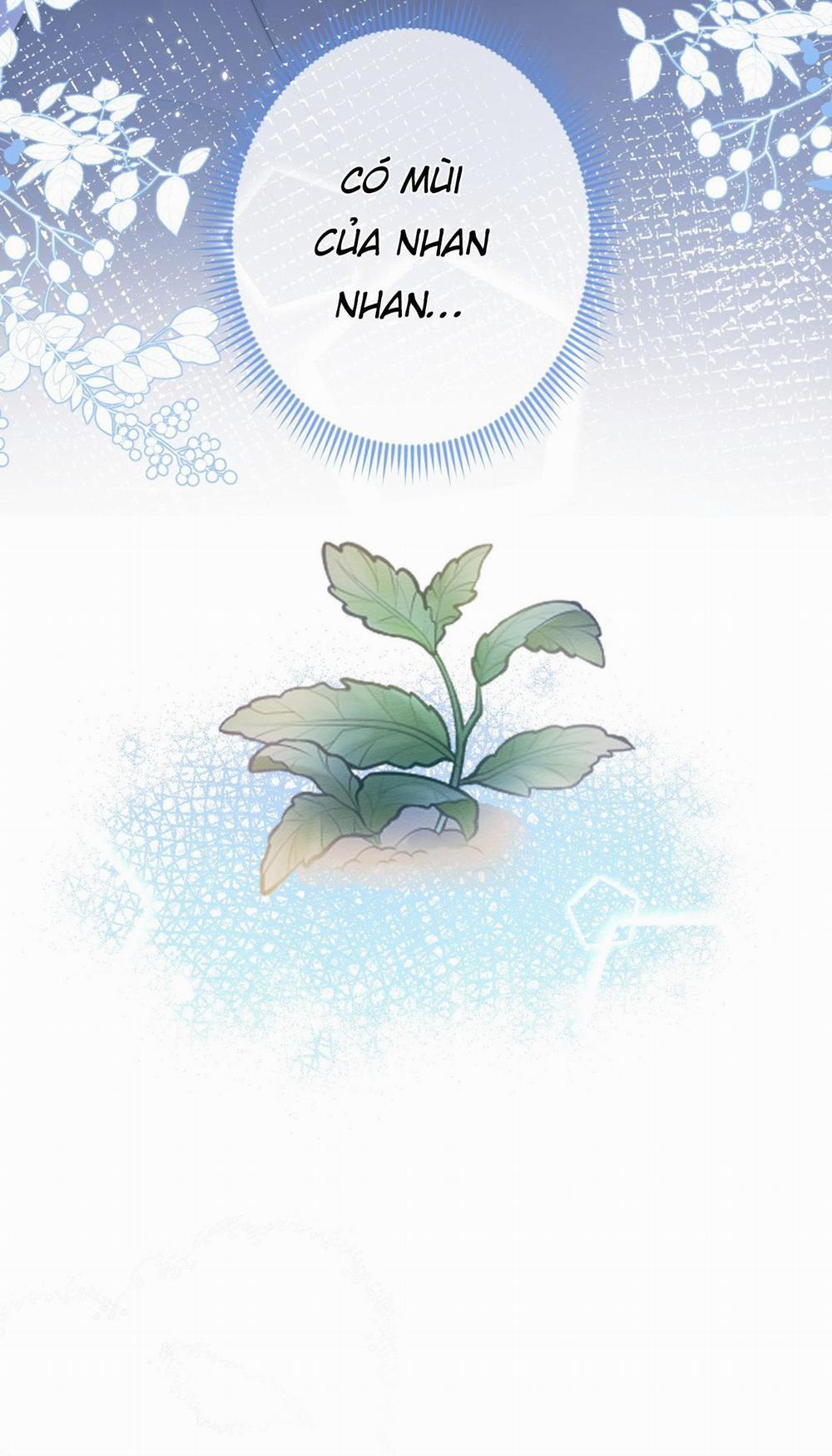 Sói Báo Ơn 2 trang 11