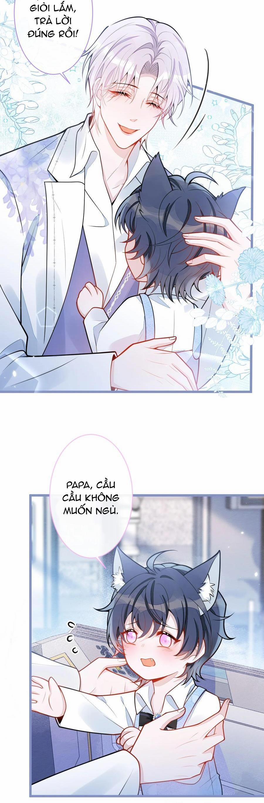 Sói Báo Ơn 23 trang 1