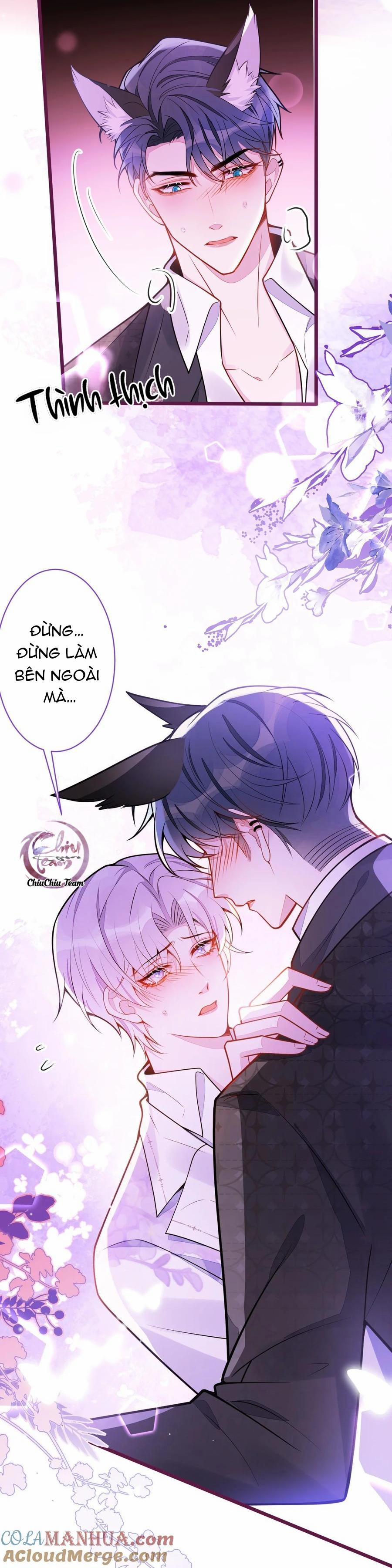 Sói Báo Ơn 24 trang 1