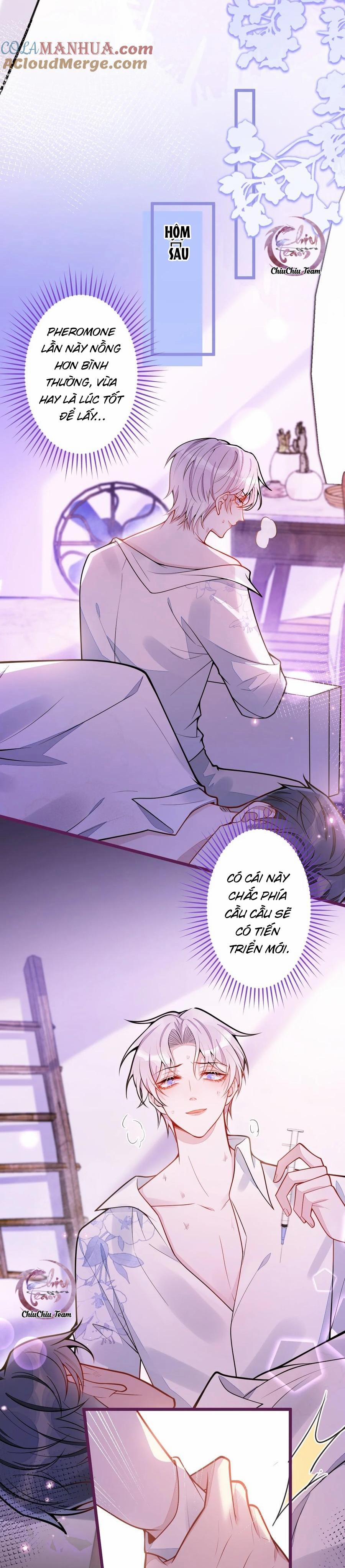 Sói Báo Ơn 24 trang 10