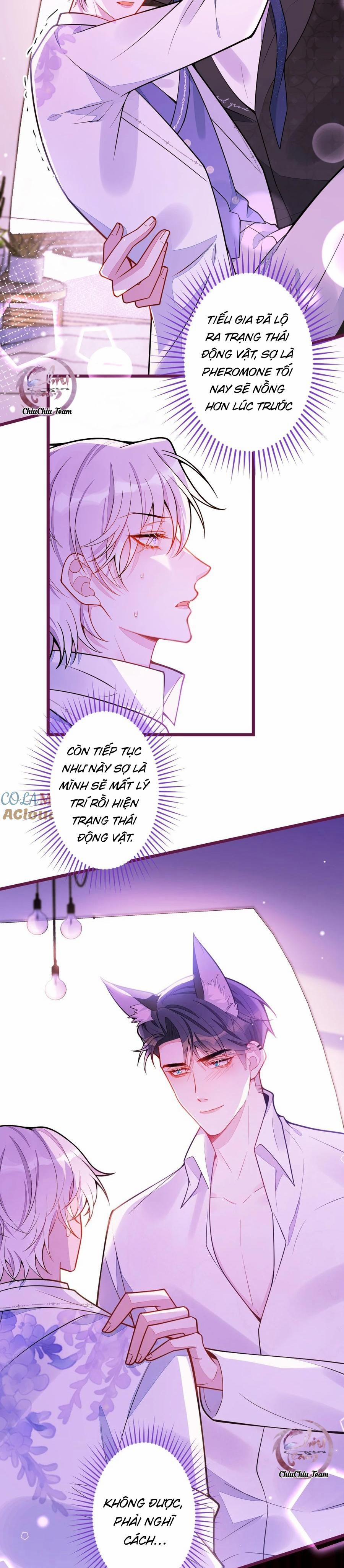 Sói Báo Ơn 24 trang 3