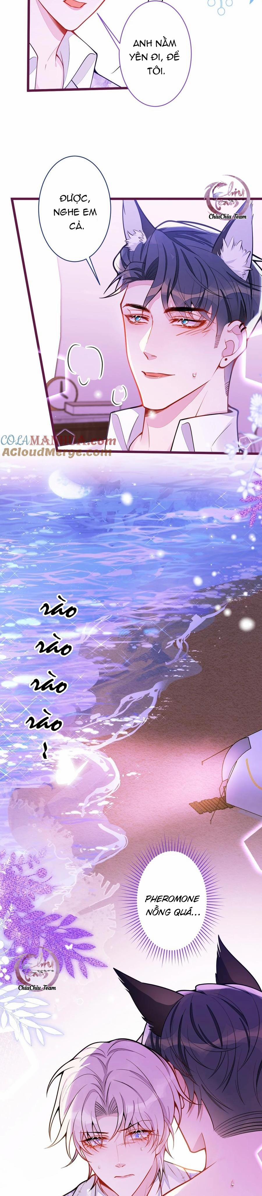 Sói Báo Ơn 24 trang 5