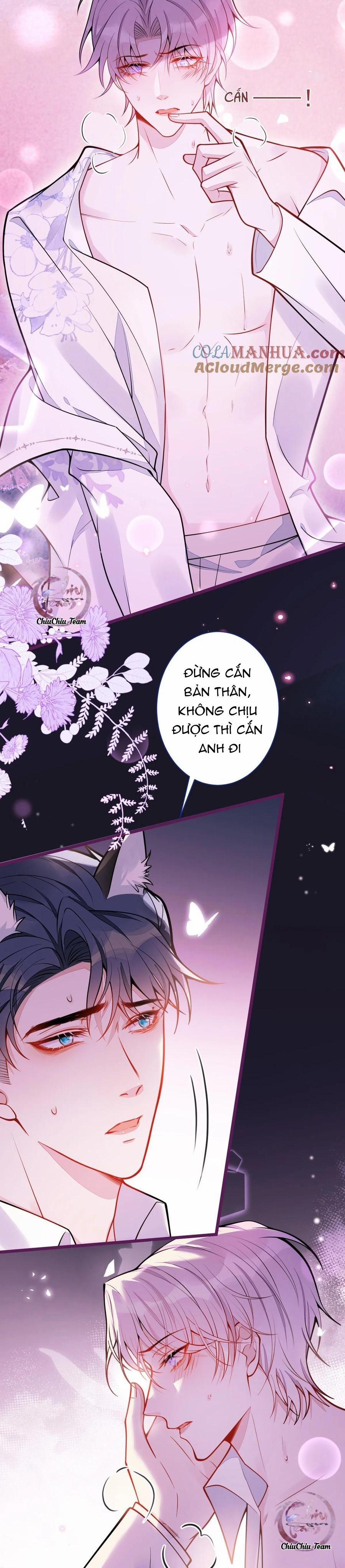 Sói Báo Ơn 24 trang 7