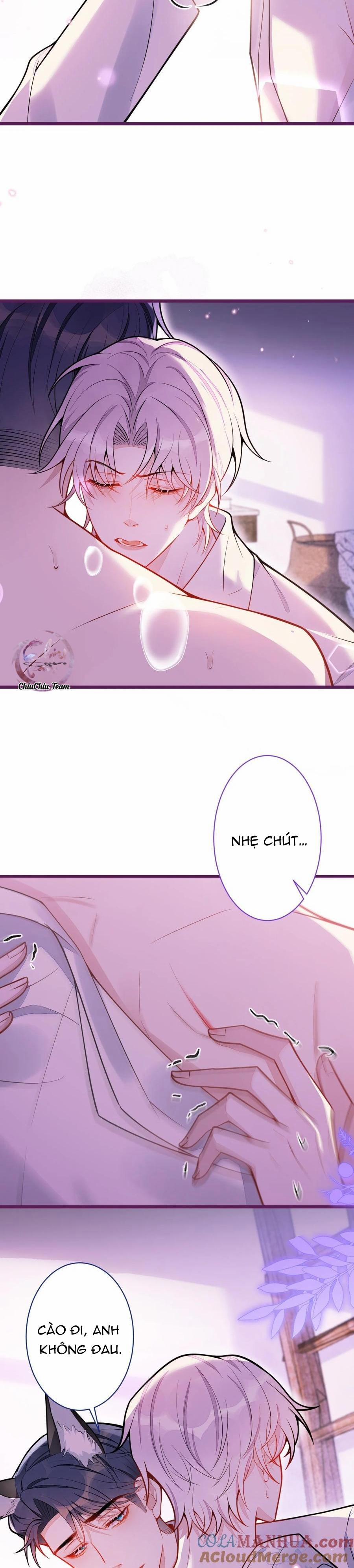 Sói Báo Ơn 24 trang 8