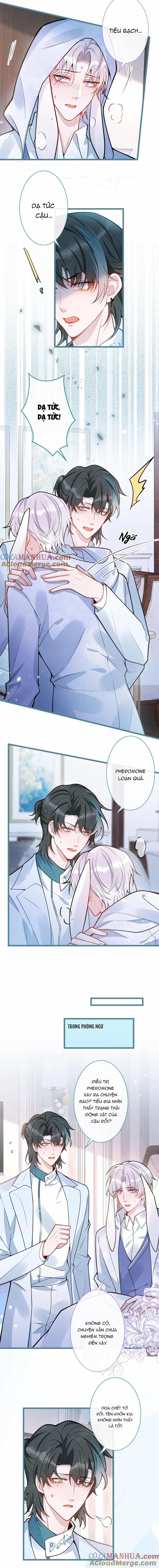 Sói Báo Ơn 25 trang 1