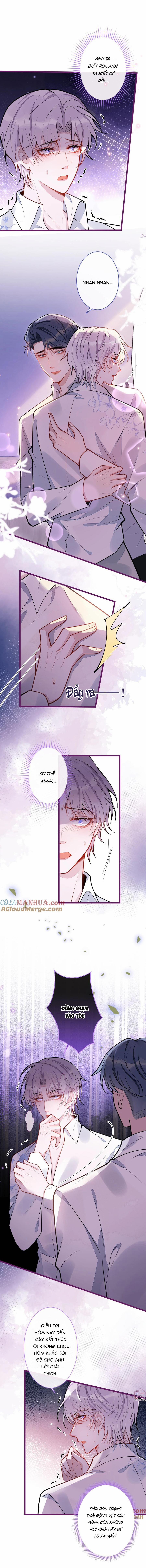 Sói Báo Ơn 25 trang 3