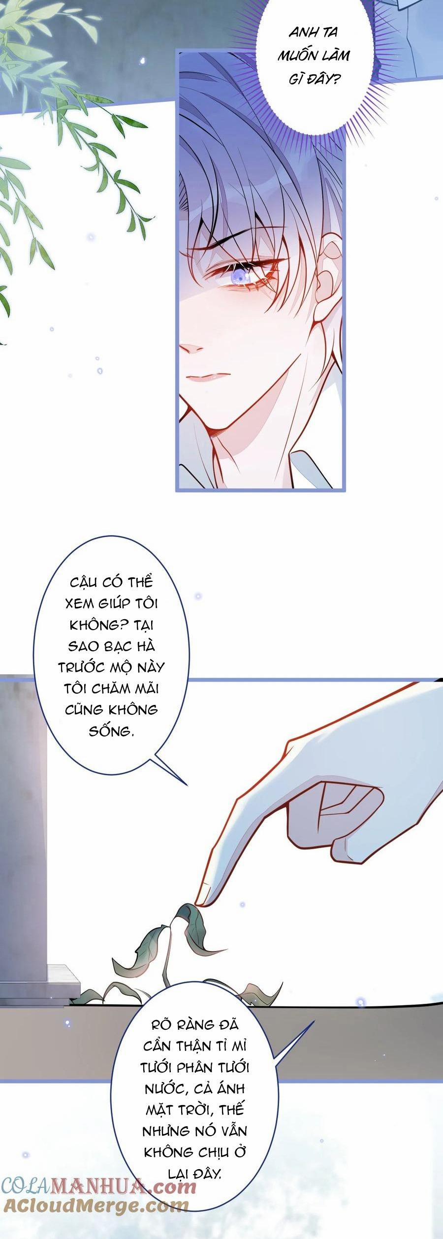 Sói Báo Ơn 30 trang 5