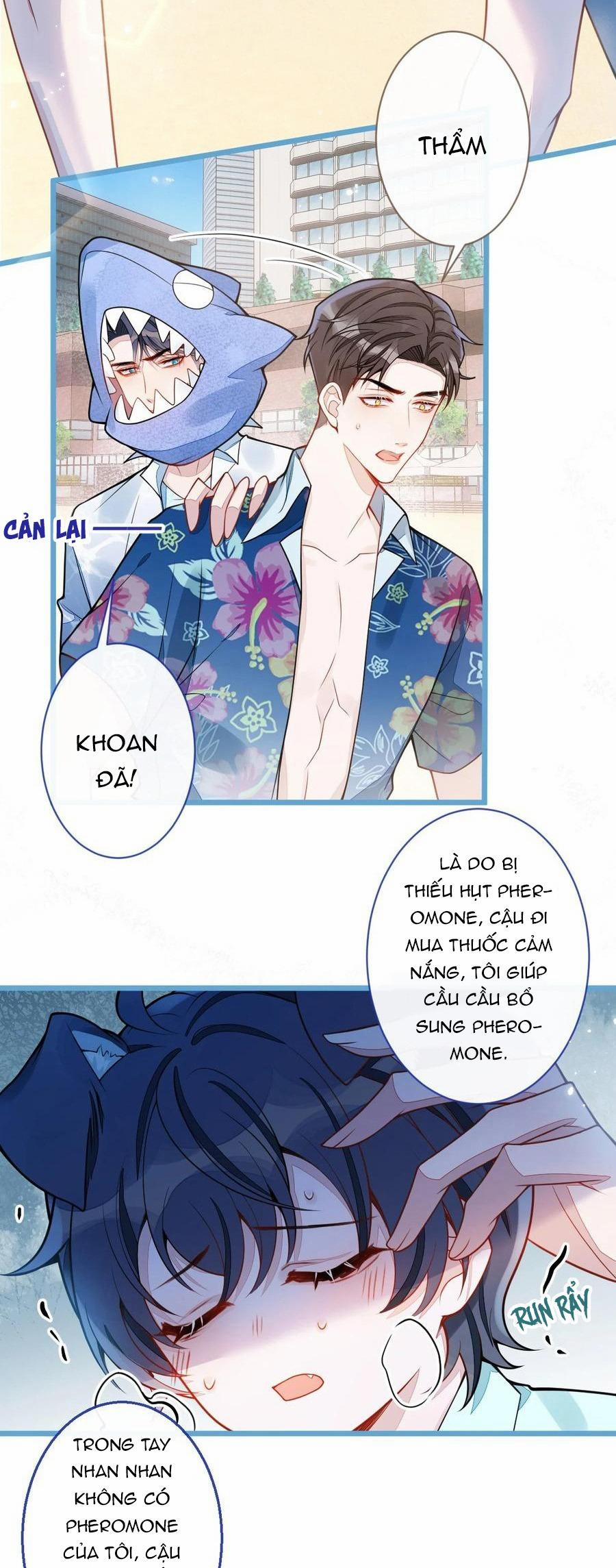 Sói Báo Ơn 33 trang 15