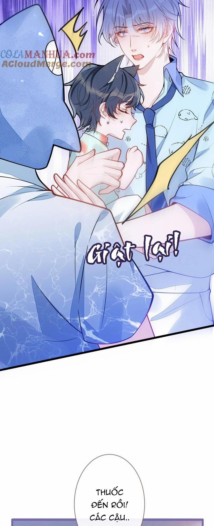 Sói Báo Ơn 33 trang 7