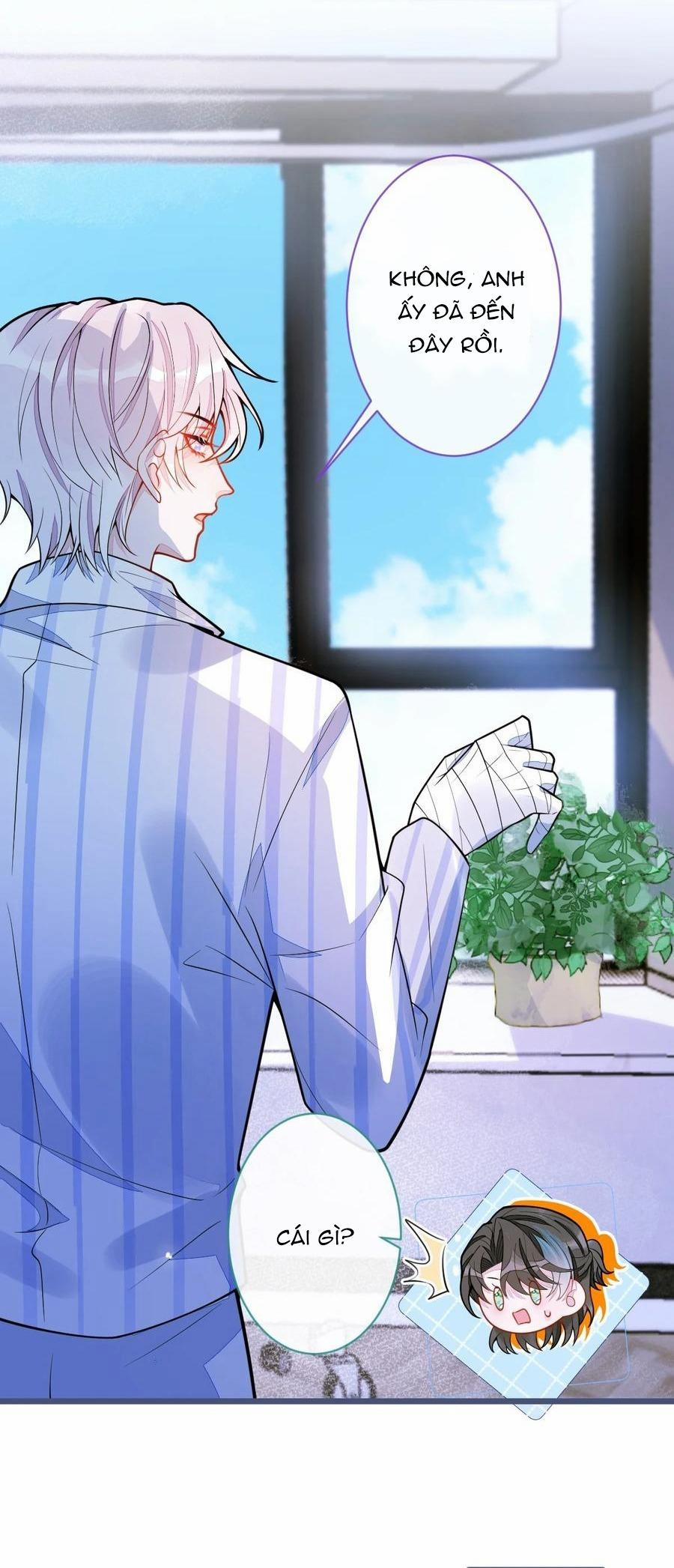 Sói Báo Ơn 36 trang 1