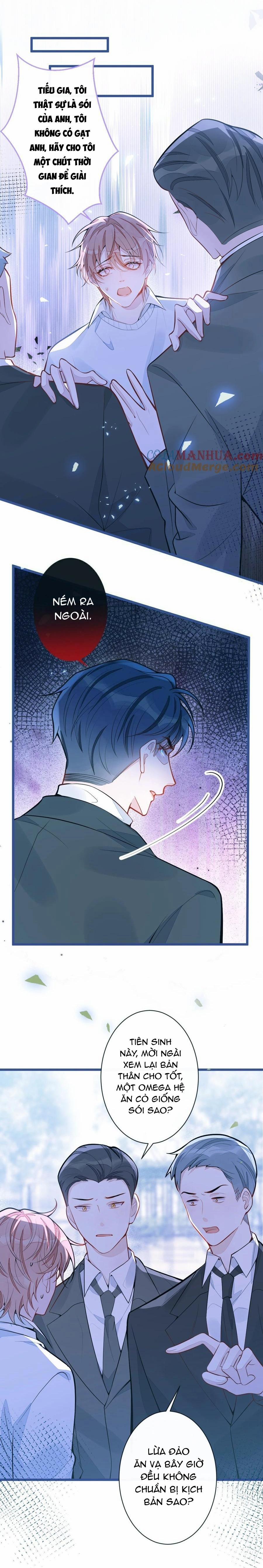 Sói Báo Ơn 38 trang 5