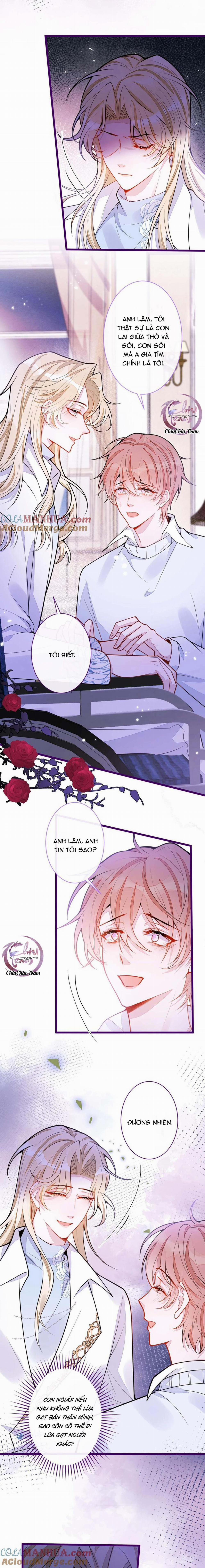 Sói Báo Ơn 41 trang 1