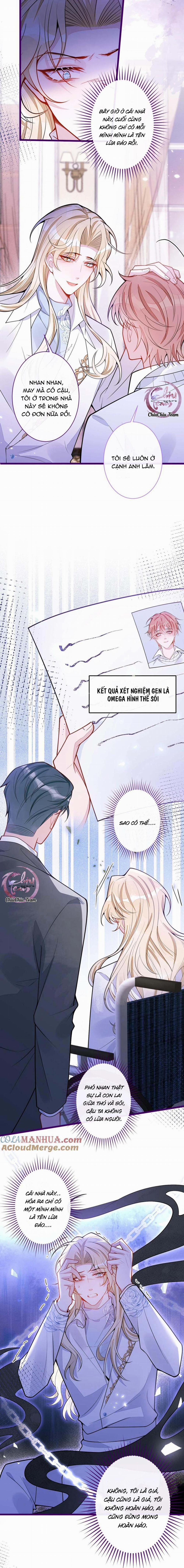 Sói Báo Ơn 41 trang 2