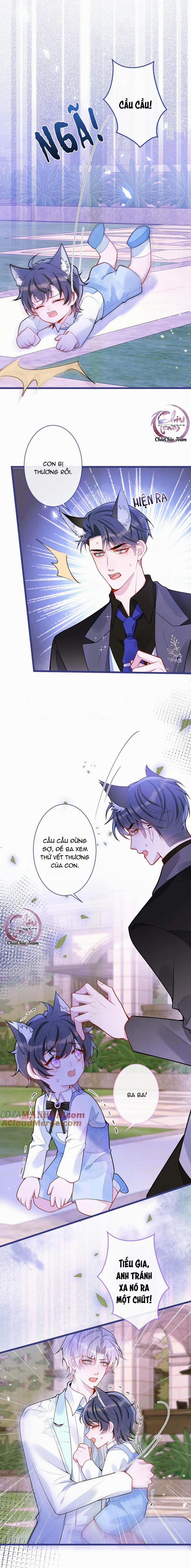 Sói Báo Ơn 41 trang 8