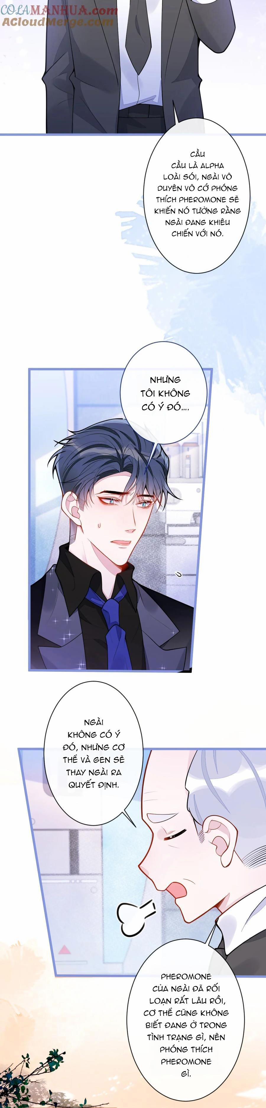 Sói Báo Ơn 42 trang 12