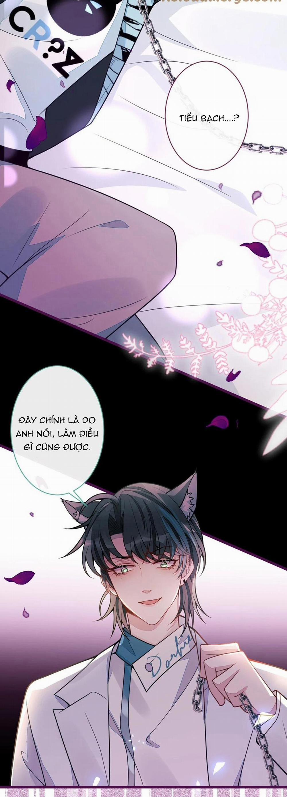 Sói Báo Ơn 44 trang 33