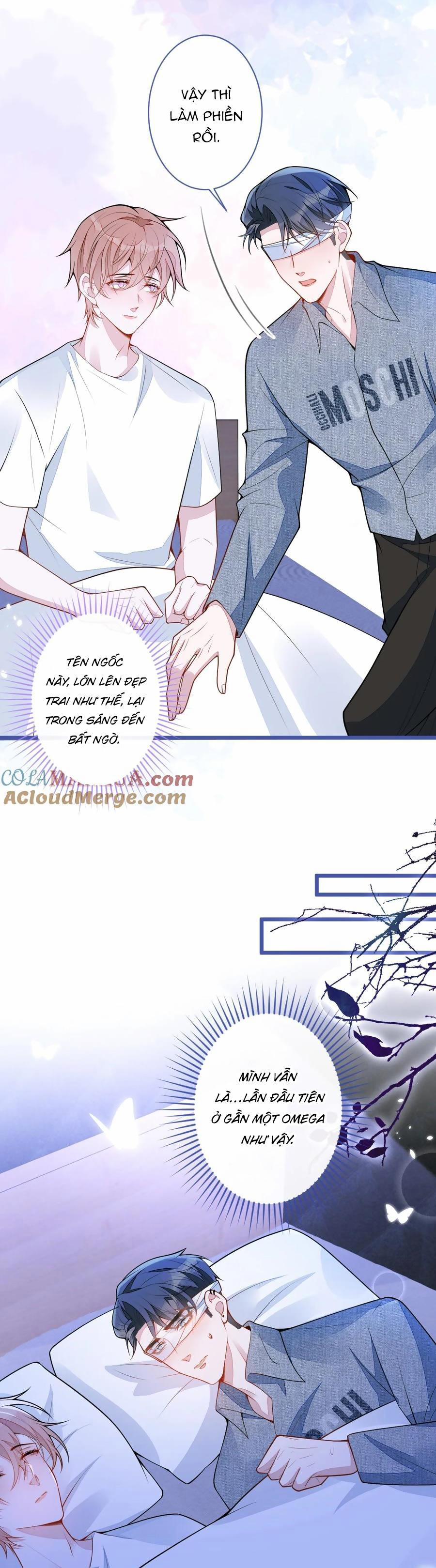 Sói Báo Ơn 50 trang 11