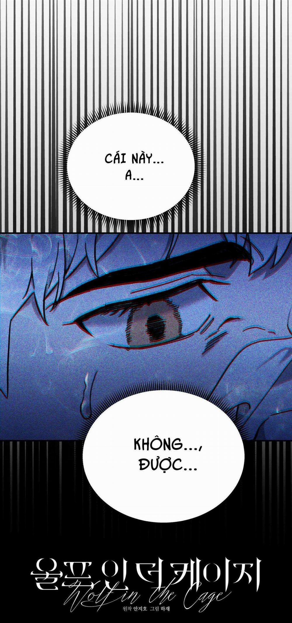 Sói Trong Lồng 10 trang 8