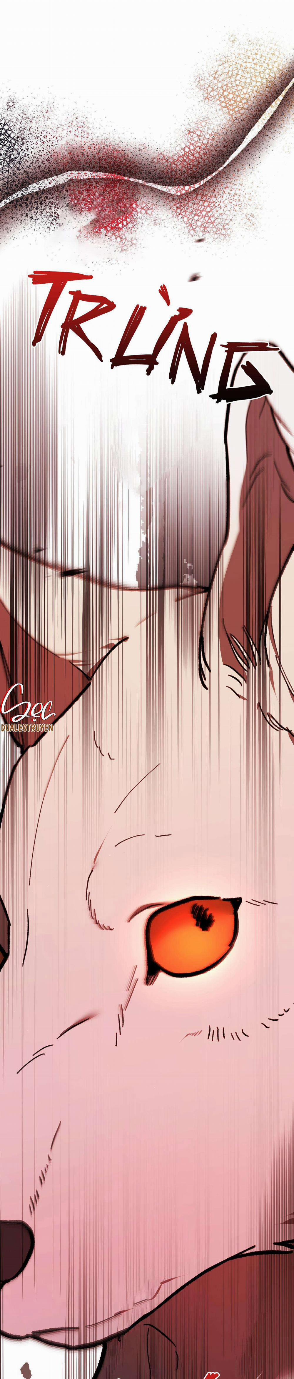 Sói Trong Lồng 5 trang 39