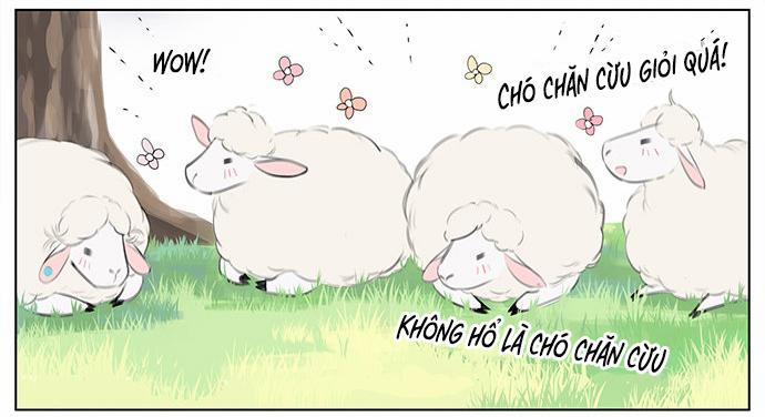 SÓI VÀ CHÓ CHĂN CỪU 4 trang 4